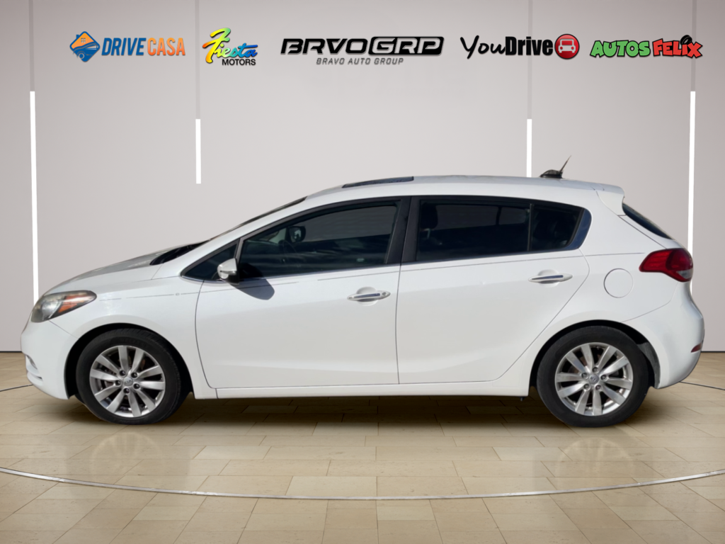 2015 Kia Forte 5-Door EX