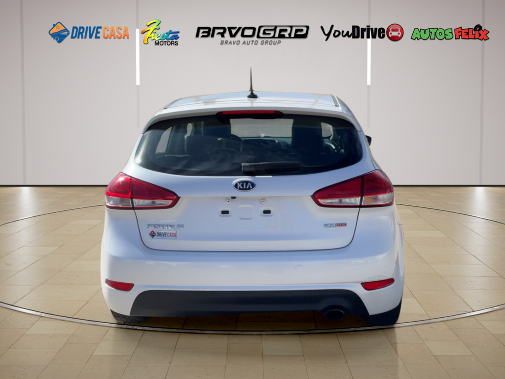 2015 Kia Forte 5-Door EX