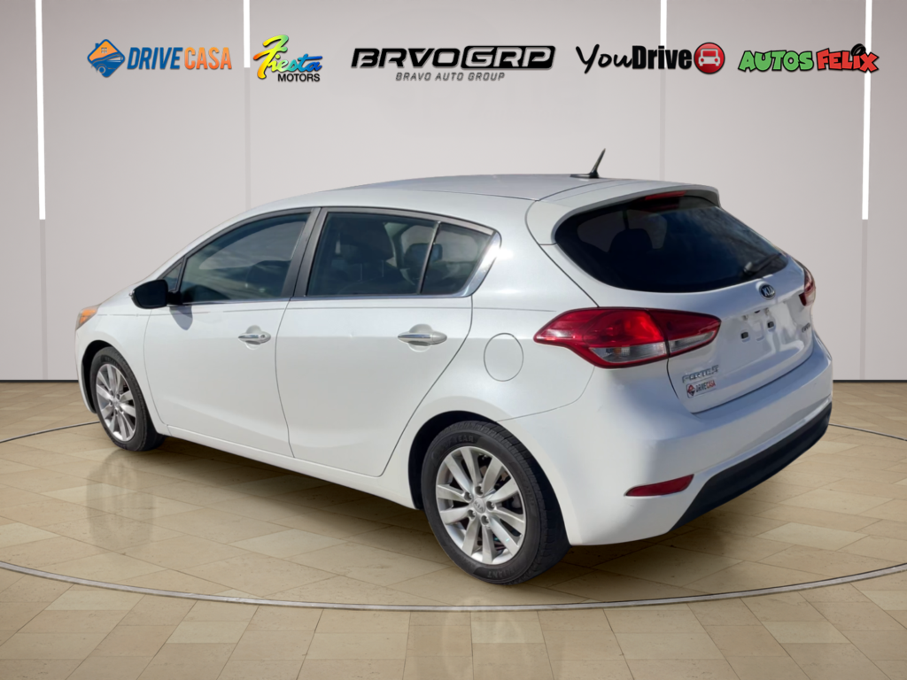 2015 Kia Forte 5-Door EX